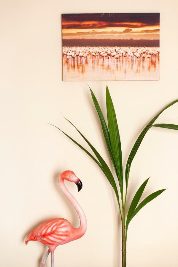 Flamingo Apartment มาลากา ภายนอก รูปภาพ